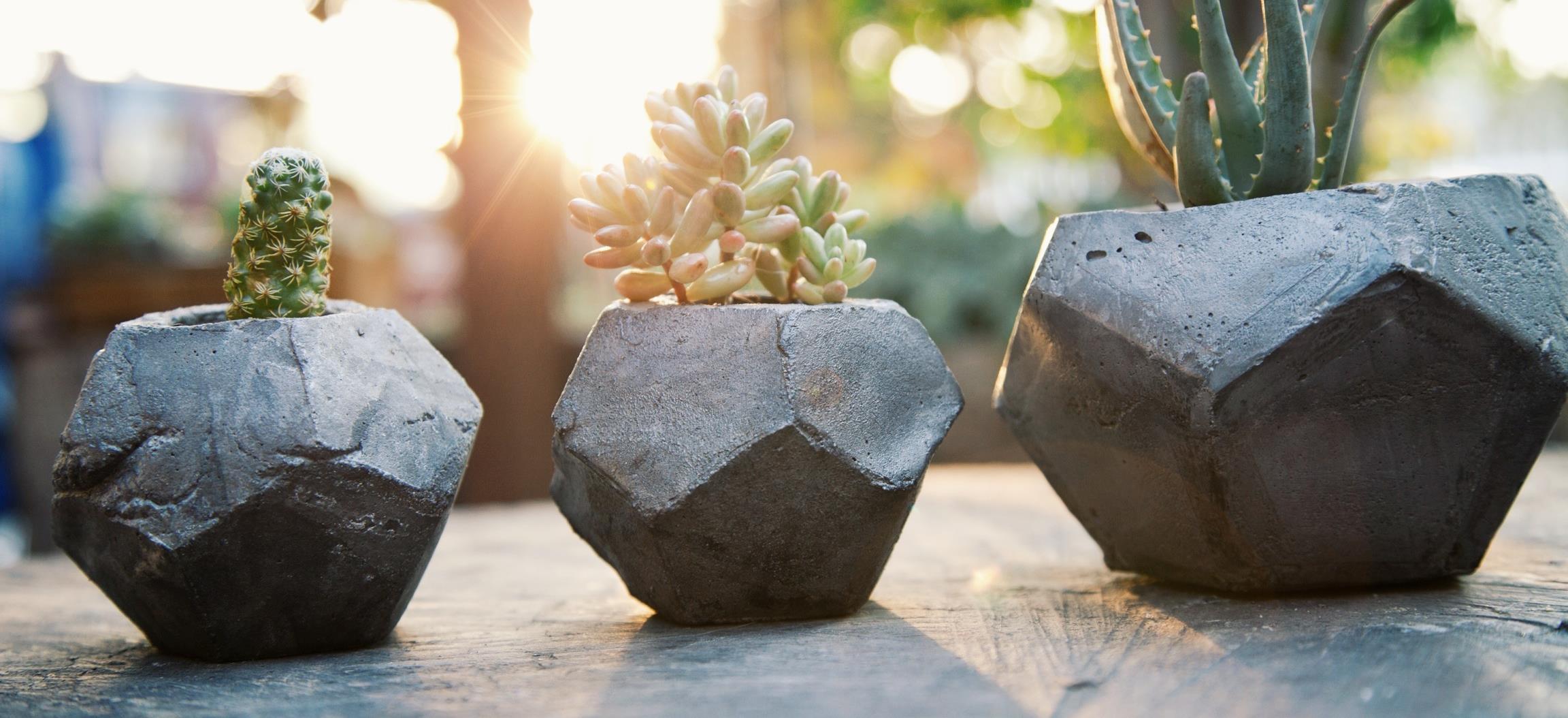 Concrete Geometric Succulent Planters via Needles + Leaves :: Giveaway
